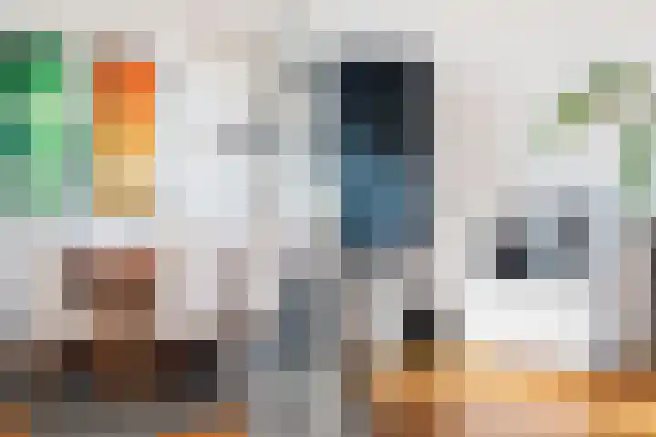 Suze Groeneweglaan 103 Rotterdam thumbnail 18