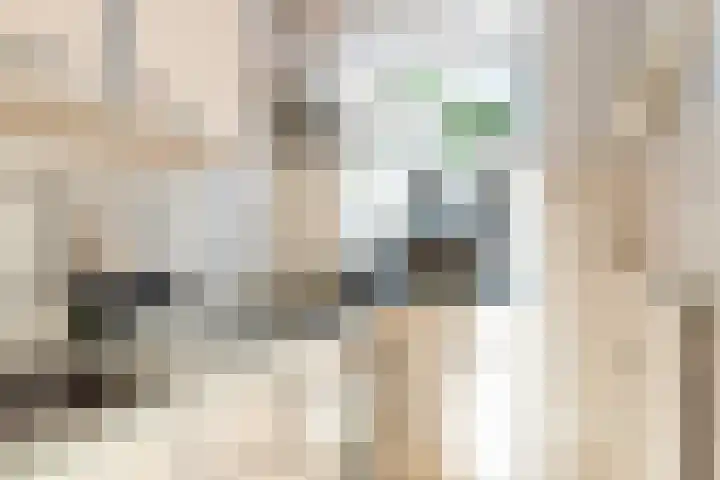 Suze Groeneweglaan 103 Rotterdam thumbnail 20