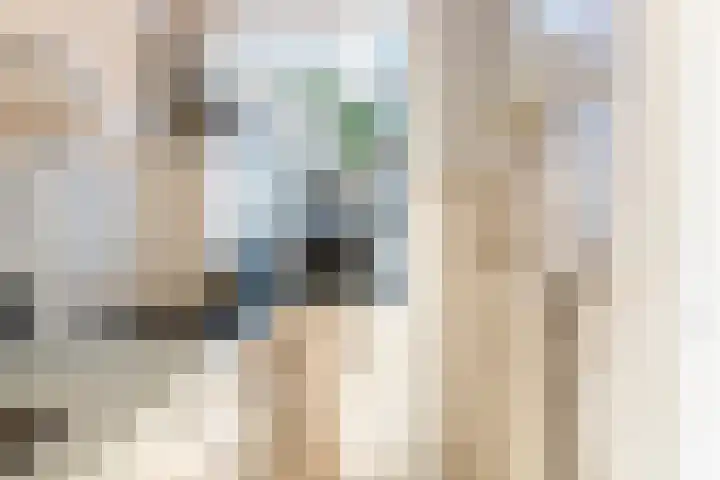 Suze Groeneweglaan 103 Rotterdam thumbnail 21