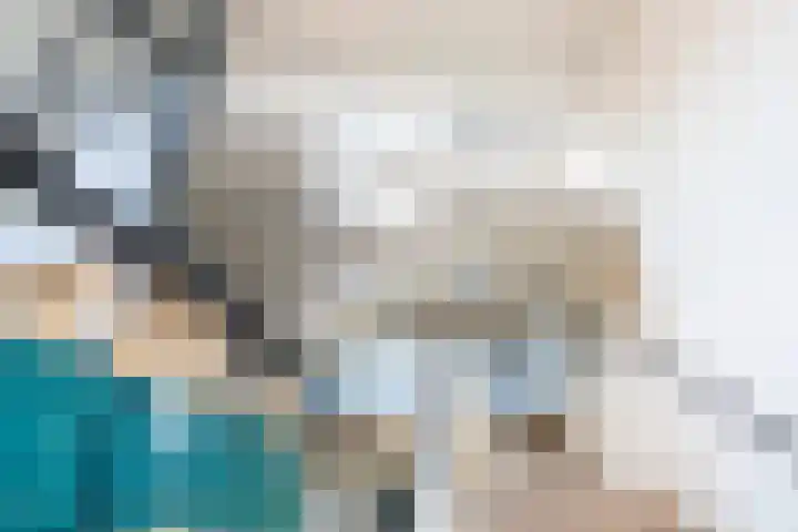 Suze Groeneweglaan 103 Rotterdam thumbnail 33
