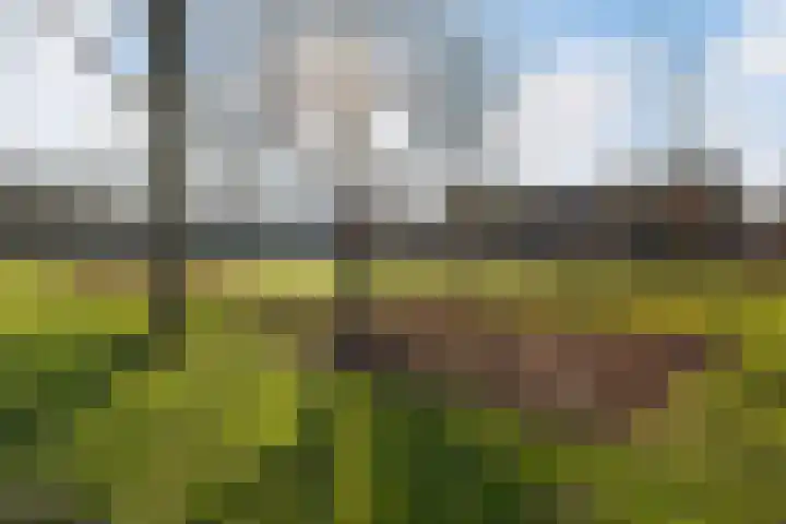 Suze Groeneweglaan 103 Rotterdam thumbnail 37
