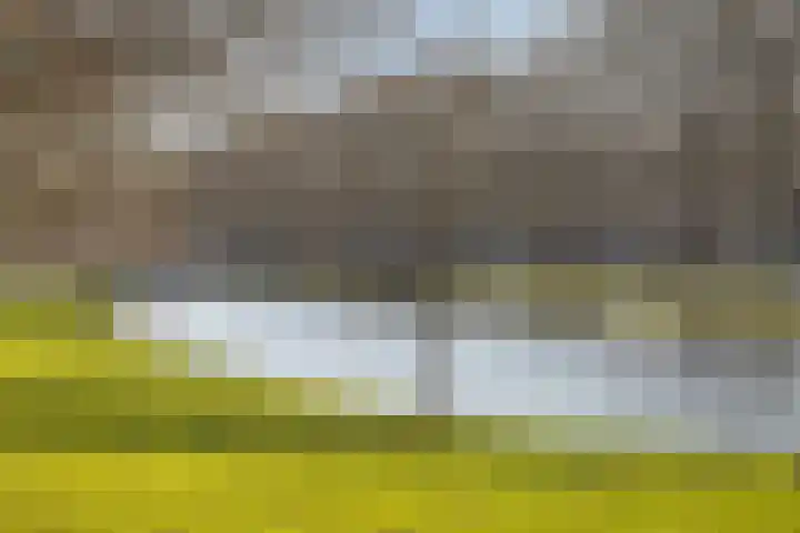 Suze Groeneweglaan 103 Rotterdam thumbnail 39