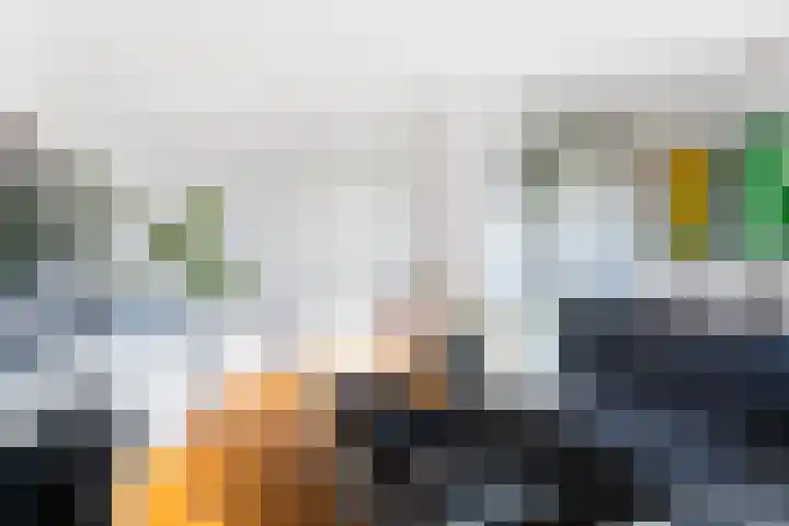 Suze Groeneweglaan 103 Rotterdam thumbnail 7