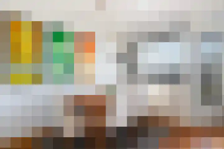 Suze Groeneweglaan 103 Rotterdam thumbnail 8