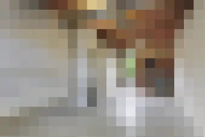 Suze Groeneweglaan 103 Vlissingen thumbnail 10