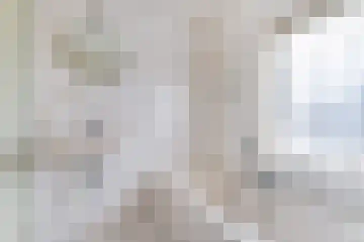 Suze Groeneweglaan 103 Vlissingen thumbnail 15