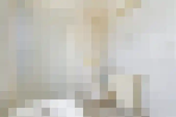 Suze Groeneweglaan 103 Vlissingen thumbnail 16