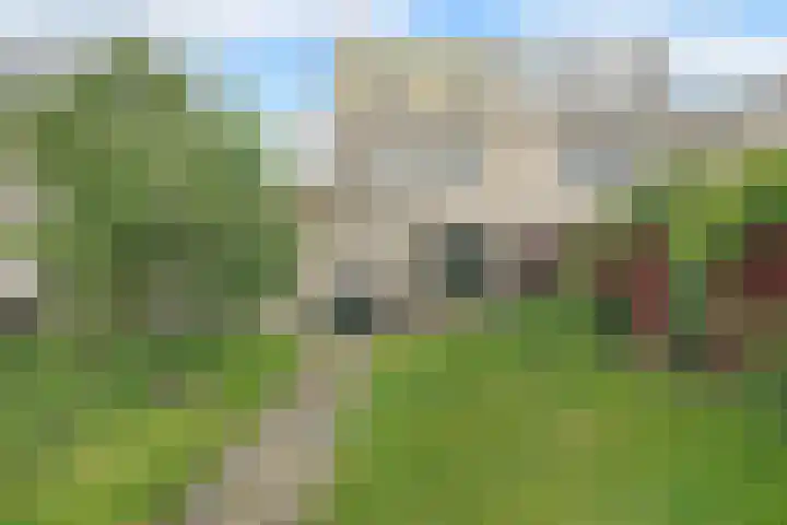 Suze Groeneweglaan 103 Vlissingen thumbnail 19
