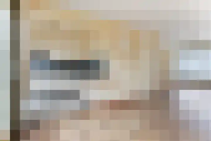 Suze Groeneweglaan 103 Vlissingen thumbnail 6
