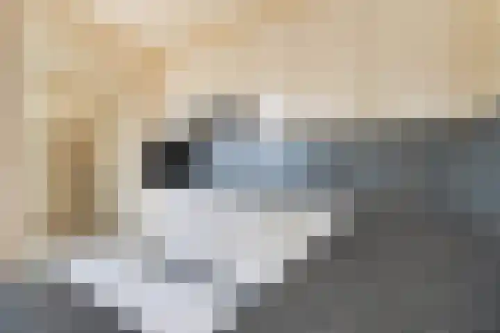 Suze Groeneweglaan 103 Vlissingen thumbnail 7