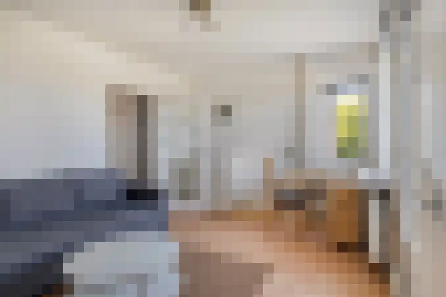 Suze Groeneweglaan 115 Rotterdam thumbnail 12