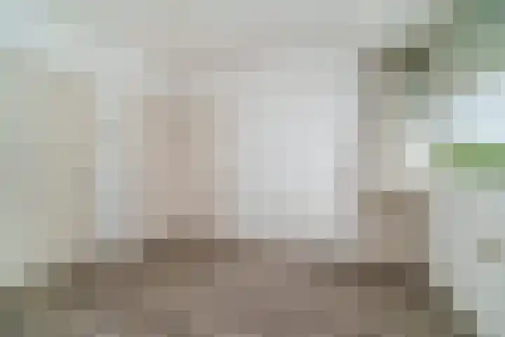 Suze Groeneweglaan 135 Rotterdam thumbnail 17