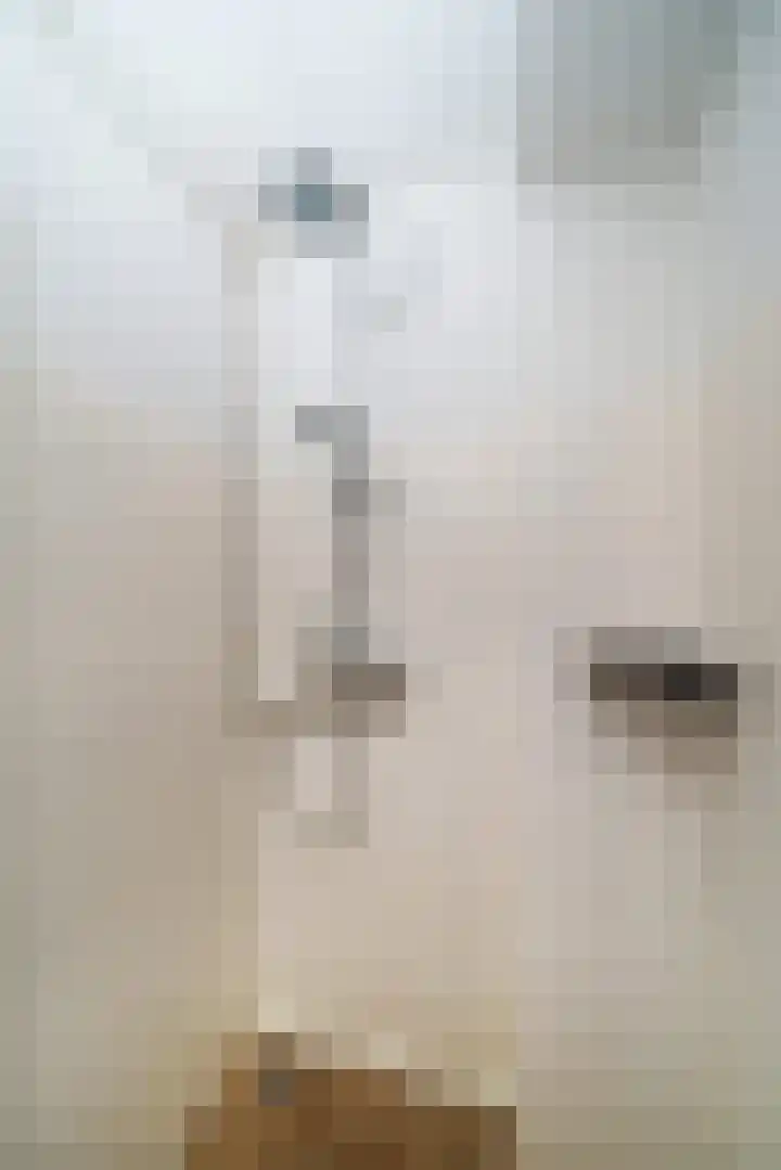 Suze Groeneweglaan 135 Rotterdam thumbnail 21