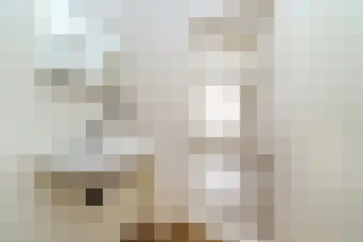 Suze Groeneweglaan 135 Rotterdam thumbnail 22