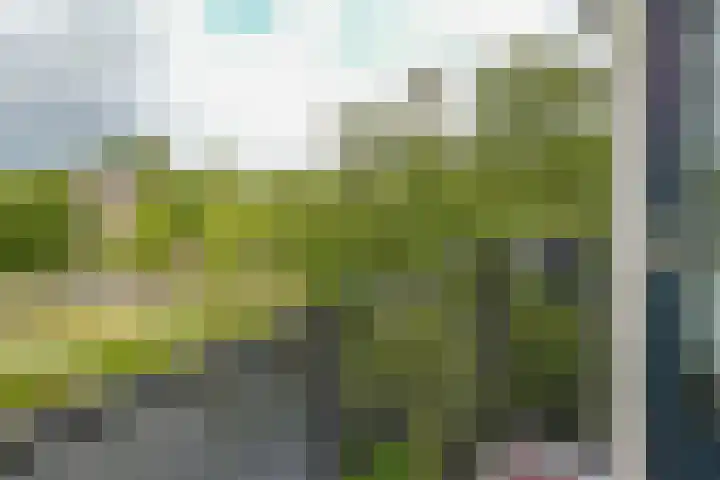 Suze Groeneweglaan 135 Rotterdam thumbnail 23