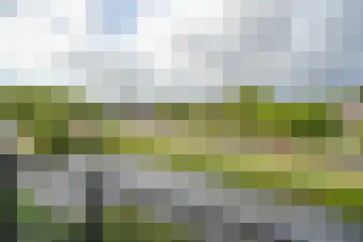 Suze Groeneweglaan 135 Rotterdam thumbnail 5