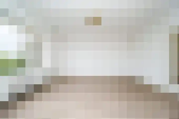 Suze Groeneweglaan 135 Rotterdam thumbnail 8