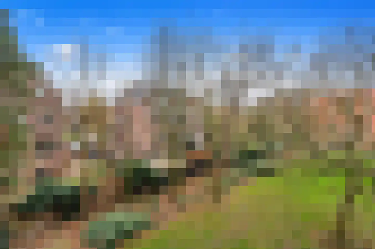 Suze Groeneweglaan 14 Rotterdam thumbnail 21