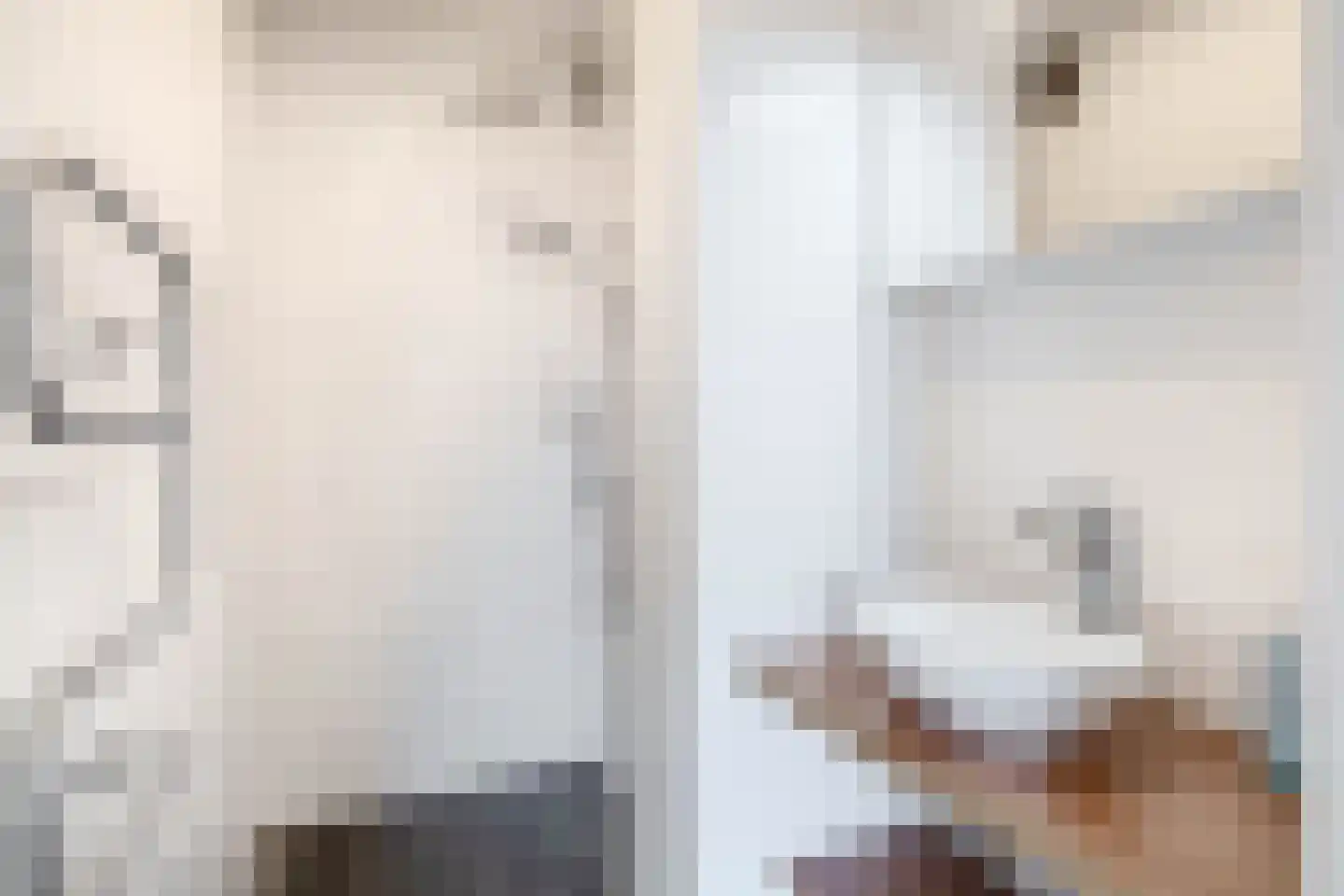 Suze Groeneweglaan 149 Rotterdam thumbnail 27