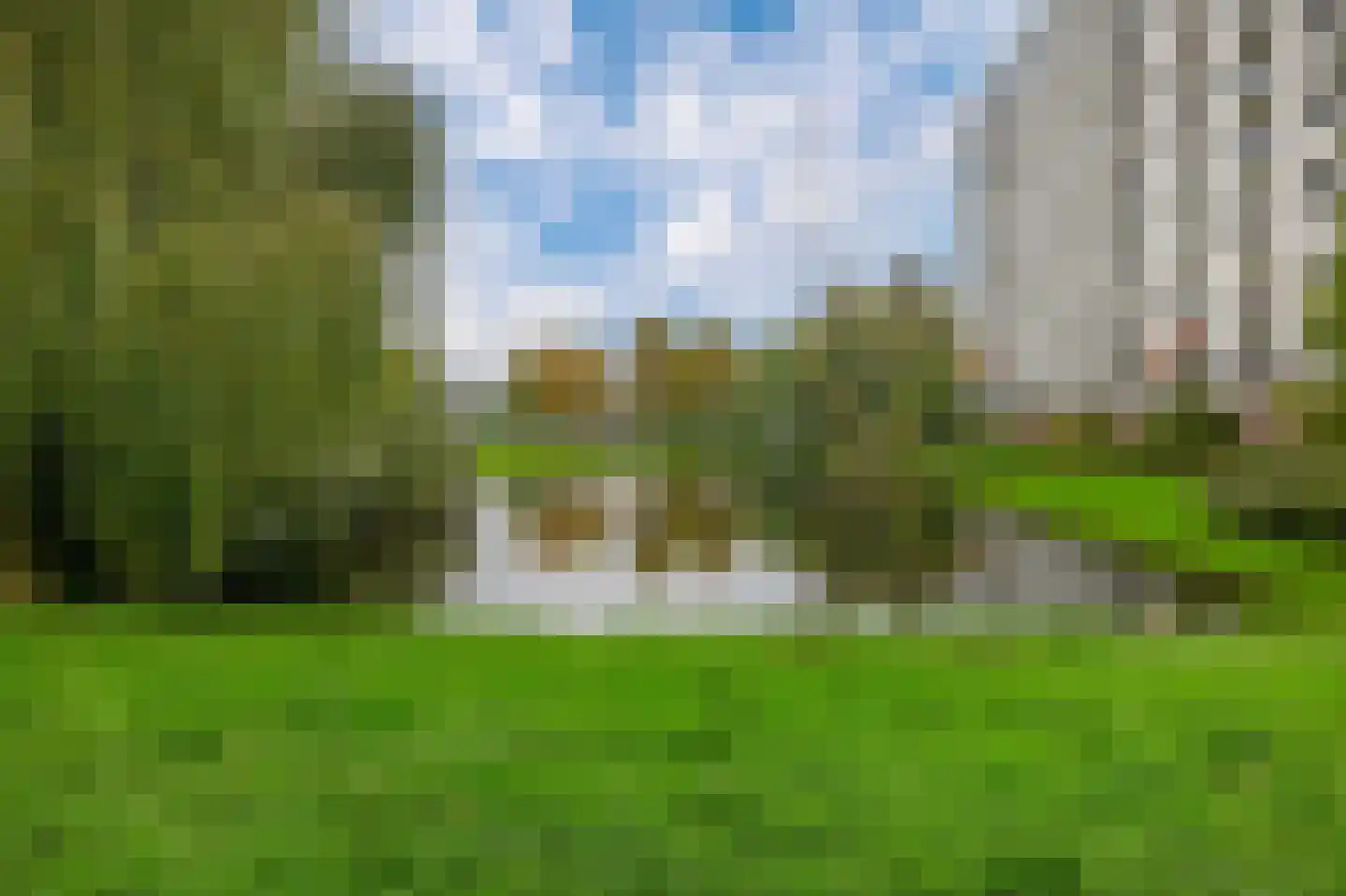 Suze Groeneweglaan 149 Rotterdam thumbnail 7