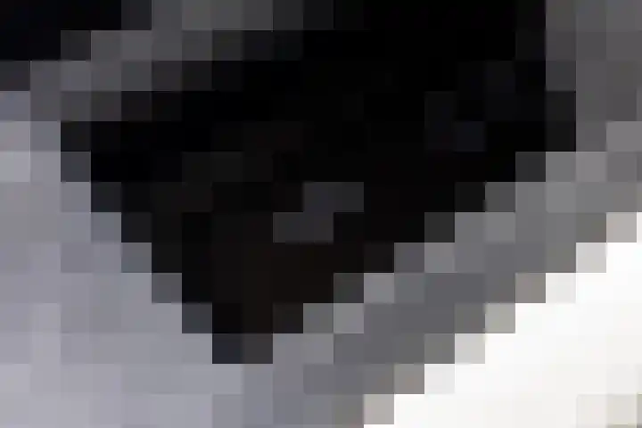 Suze Groeneweglaan 15 Vlissingen thumbnail 14