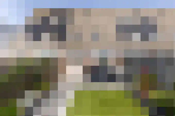 Suze Groeneweglaan 15 Vlissingen thumbnail 20