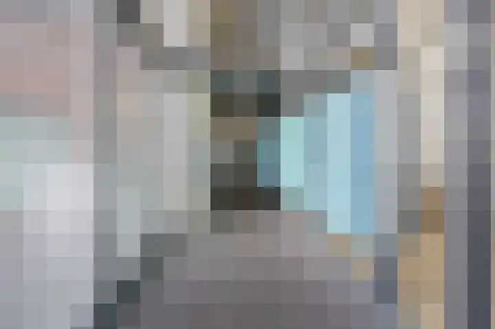 Suze Groeneweglaan 179 Rotterdam thumbnail 5