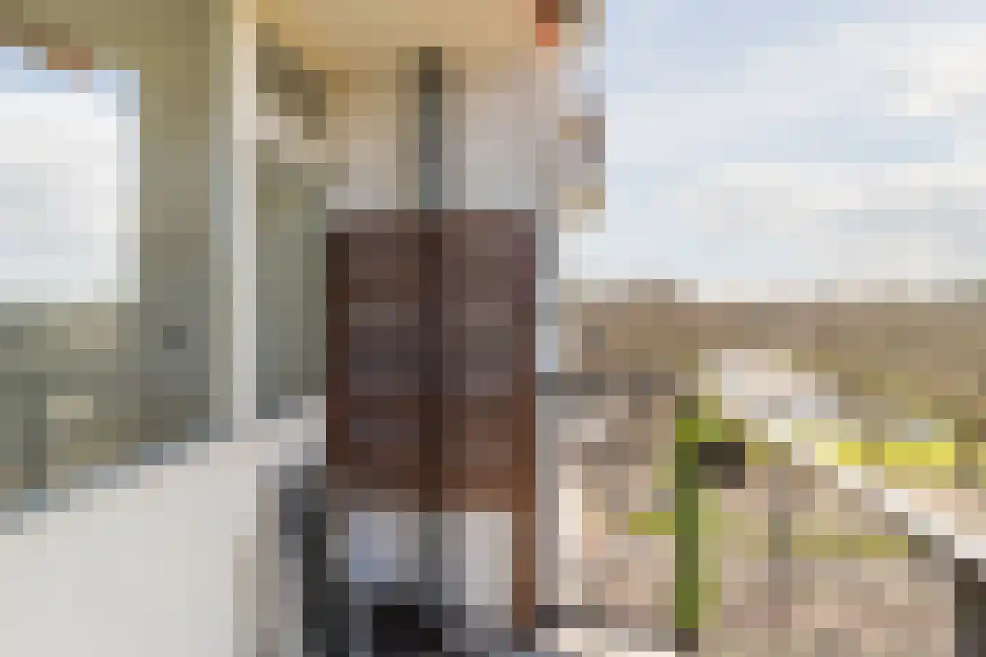 Suze Groeneweglaan 183 Rotterdam thumbnail 28