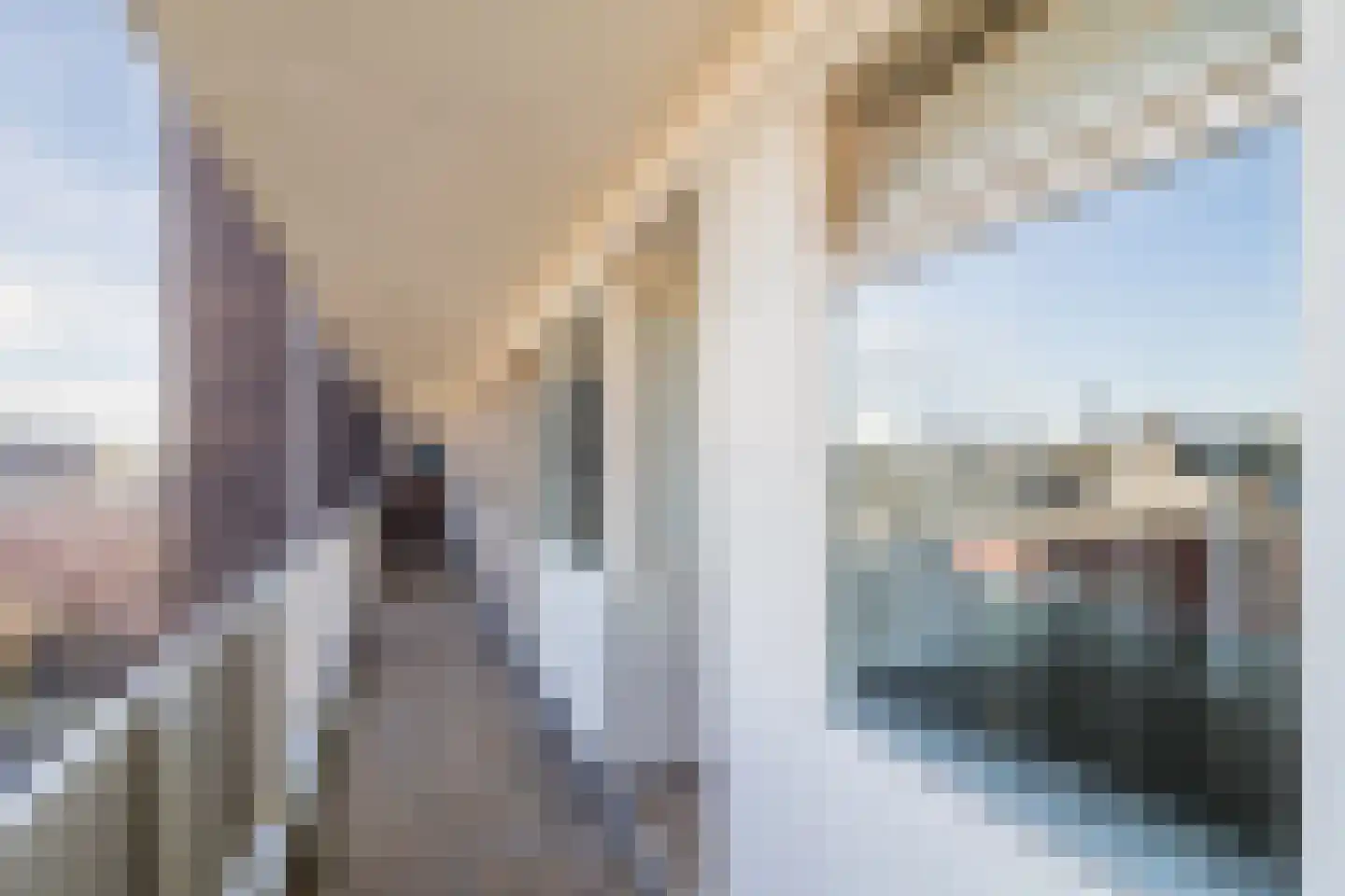 Suze Groeneweglaan 183 Rotterdam thumbnail 29
