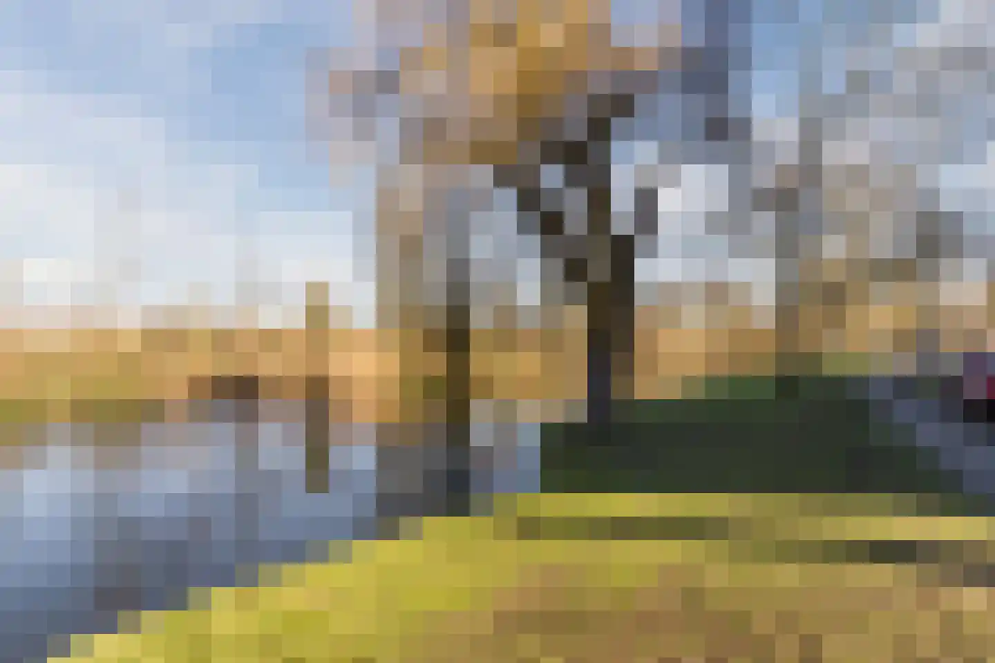 Suze Groeneweglaan 183 Rotterdam thumbnail 33