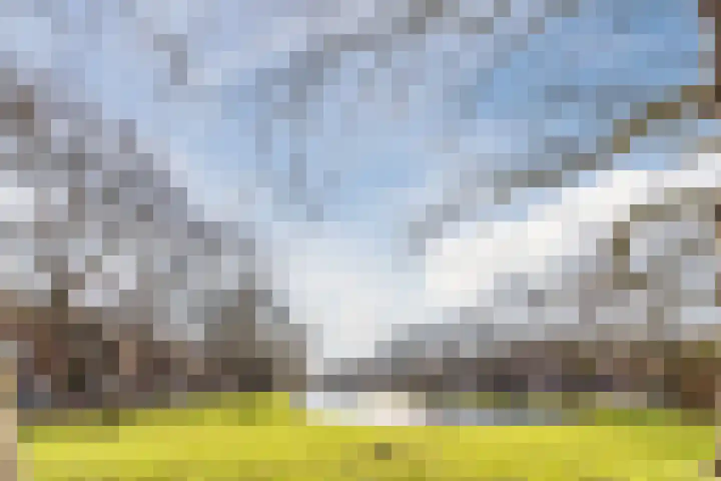 Suze Groeneweglaan 183 Rotterdam thumbnail 34