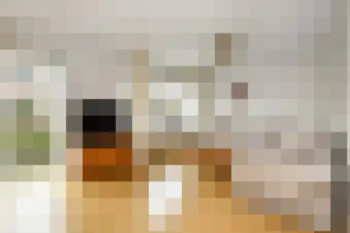 Suze Groeneweglaan 19 Elst thumbnail 12