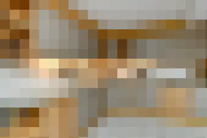 Suze Groeneweglaan 19 Elst thumbnail 19