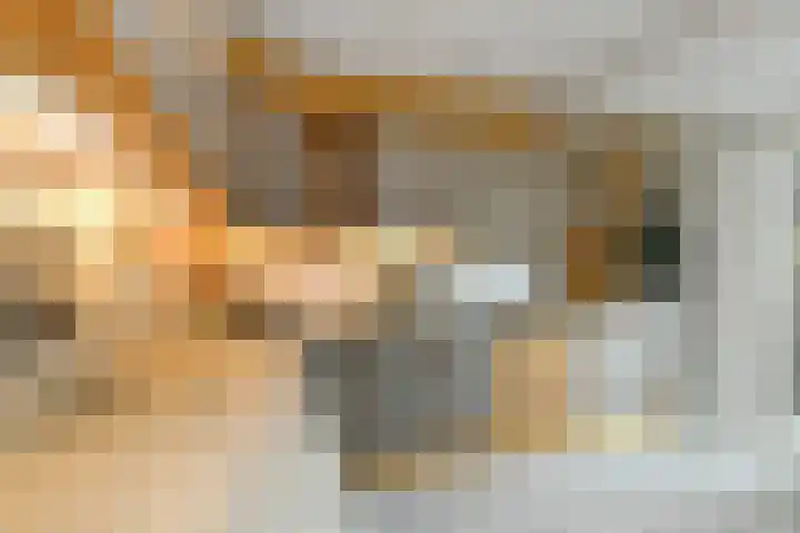Suze Groeneweglaan 19 Elst thumbnail 20