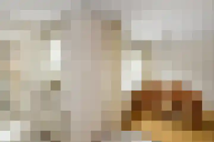 Suze Groeneweglaan 19 Elst thumbnail 22