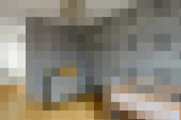 Suze Groeneweglaan 19 Elst thumbnail 30
