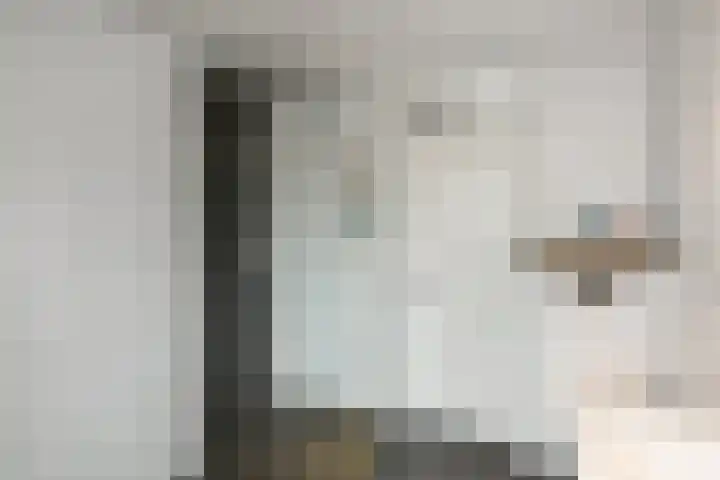 Suze Groeneweglaan 19 Elst thumbnail 31