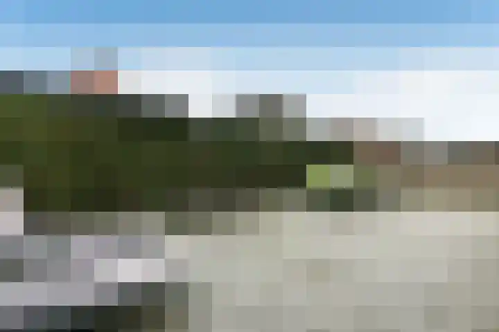 Suze Groeneweglaan 19 Elst thumbnail 41