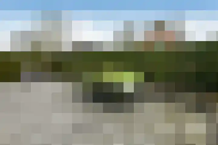 Suze Groeneweglaan 19 Elst thumbnail 42