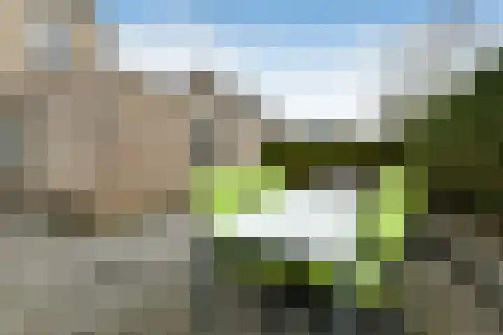 Suze Groeneweglaan 19 Elst thumbnail 44