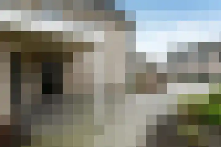 Suze Groeneweglaan 19 Elst thumbnail 47