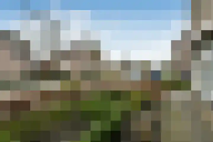 Suze Groeneweglaan 19 Elst thumbnail 6