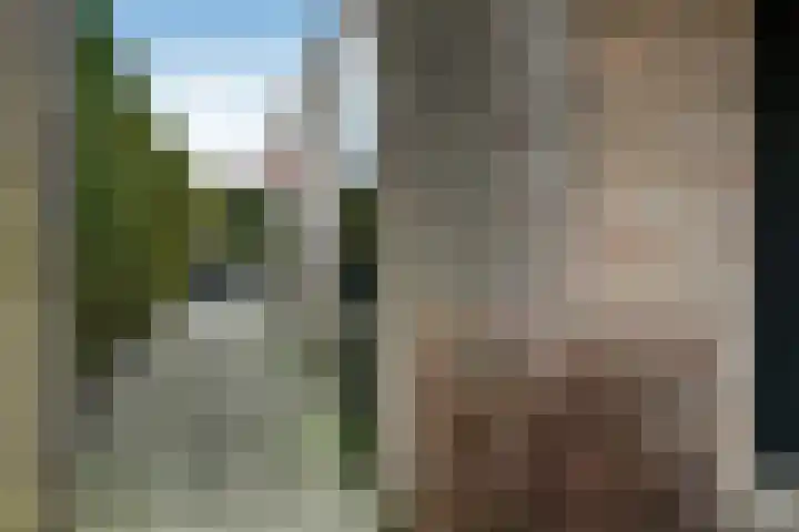 Suze Groeneweglaan 19 Elst thumbnail 7