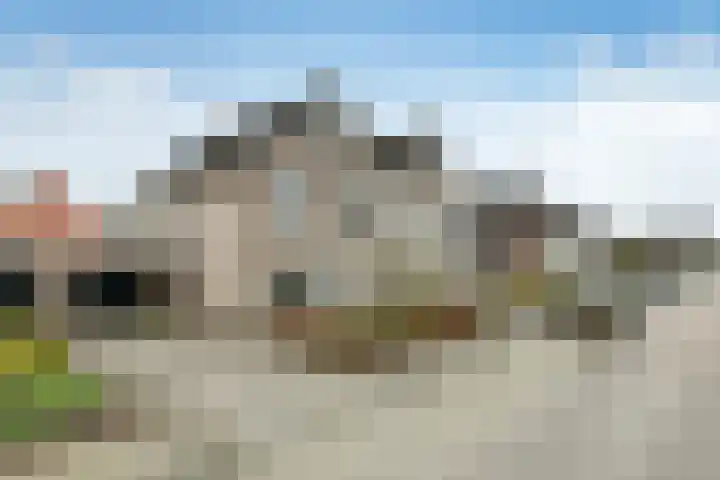 Suze Groeneweglaan 19 Elst thumbnail 8