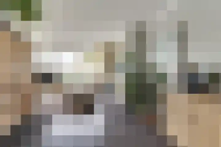 Suze Groeneweglaan 25 Elst thumbnail 10