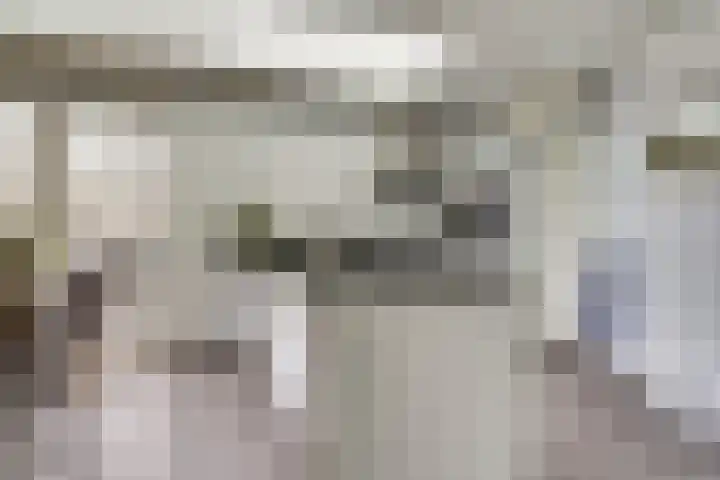 Suze Groeneweglaan 25 Elst thumbnail 12