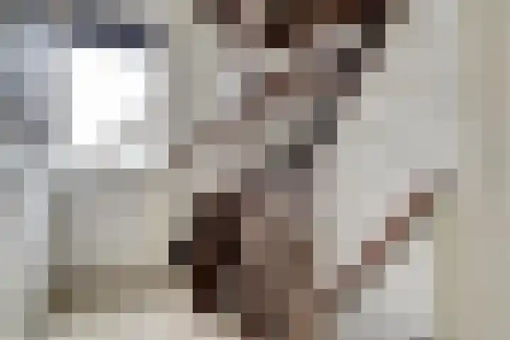 Suze Groeneweglaan 25 Elst thumbnail 18