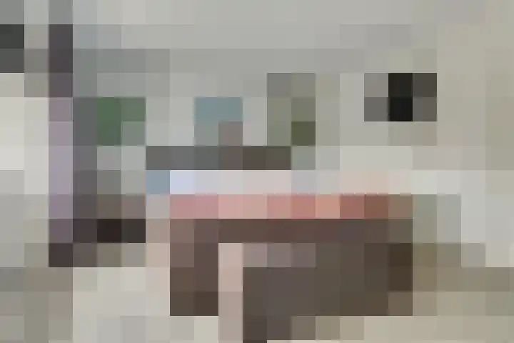 Suze Groeneweglaan 25 Elst thumbnail 19