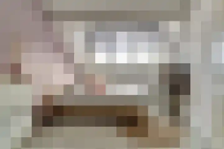 Suze Groeneweglaan 25 Elst thumbnail 27