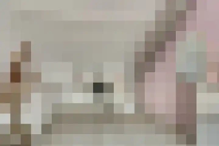 Suze Groeneweglaan 25 Elst thumbnail 28